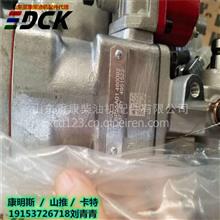 徐工XS202压路机NTA855燃油泵4951459 重康燃油泵的性能与选购指南